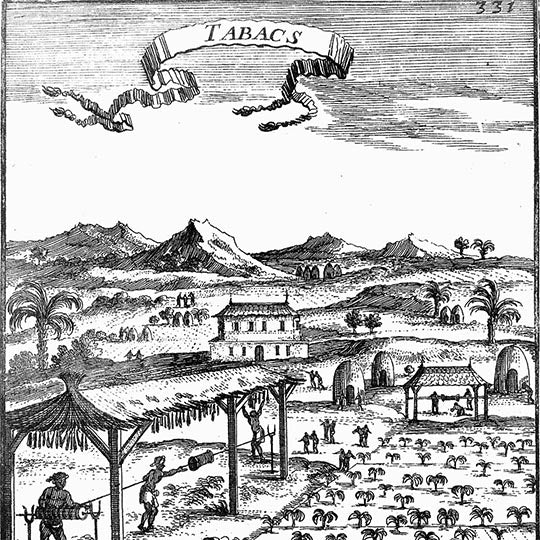 Old engraving titled Tabacs, showing a tobacco plantation with workers, drying sheds and huts below the hills.