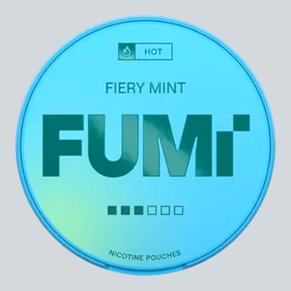 FUMI - Fiery Mint 8mg