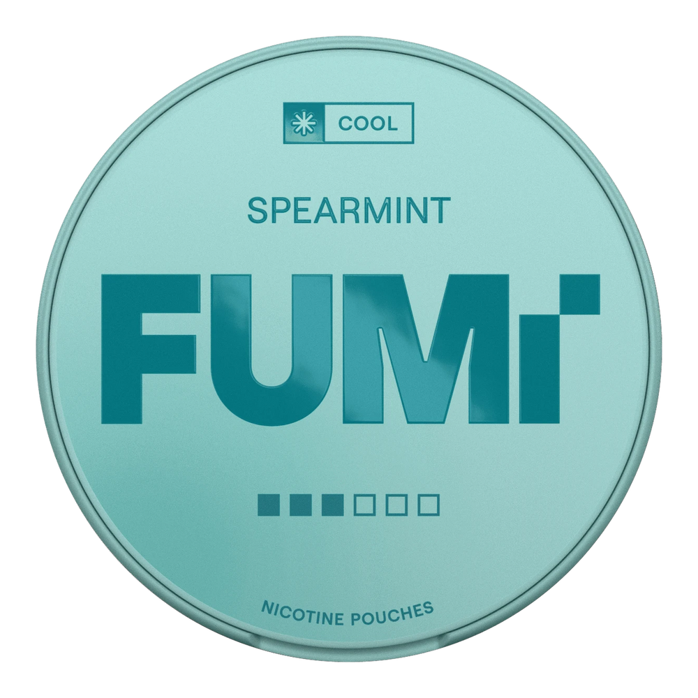 Best-Selling Tobacco Snuff in Stock – Mr Snuff